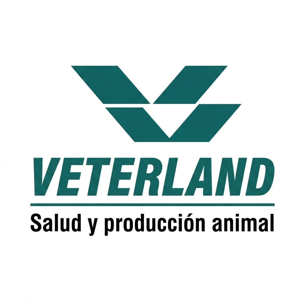 INICIO whatsapp image 2026 08 11 at 5.25.10 pm (3)